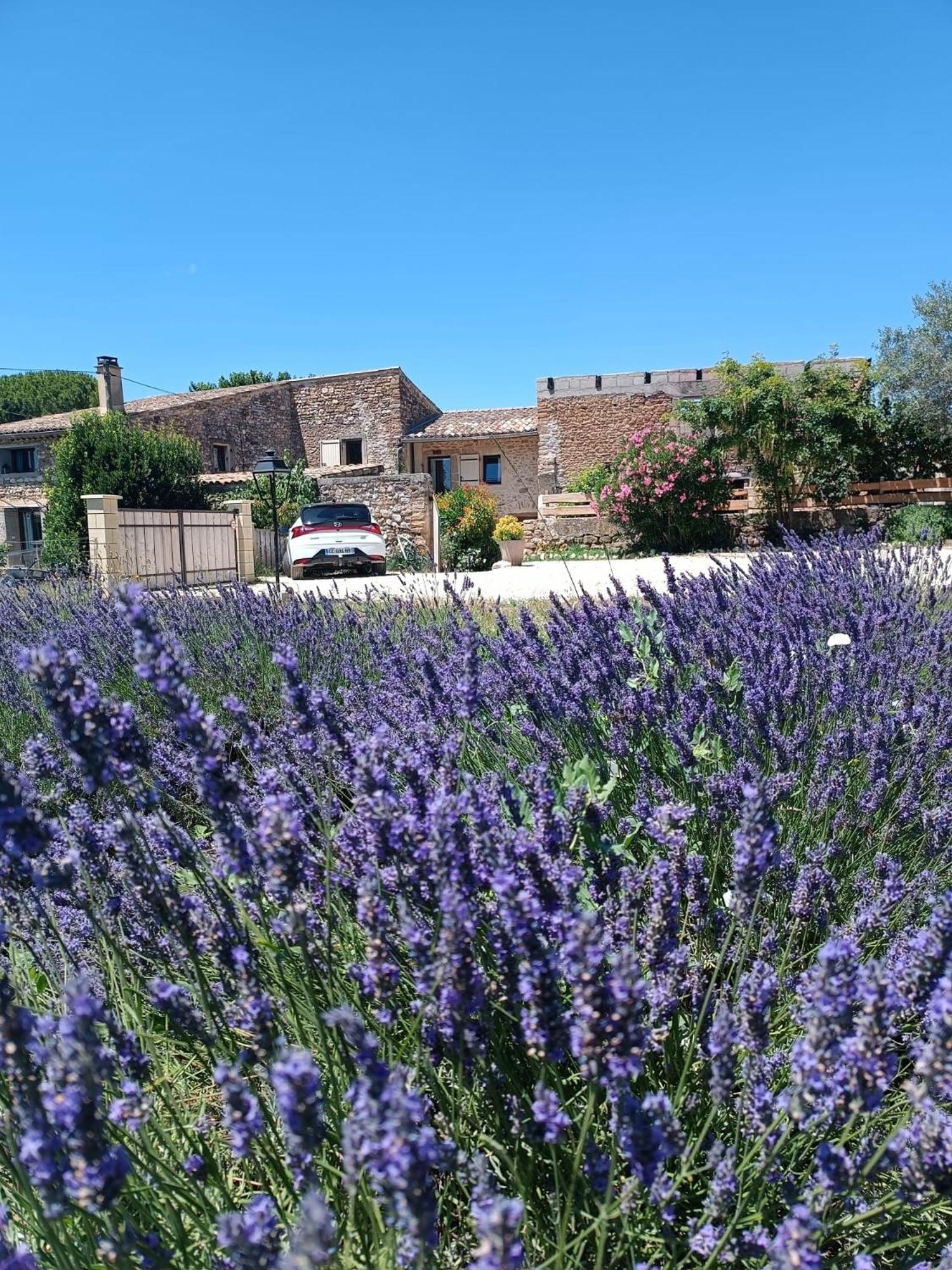 Mas De L'Amme Valréas Exterior foto